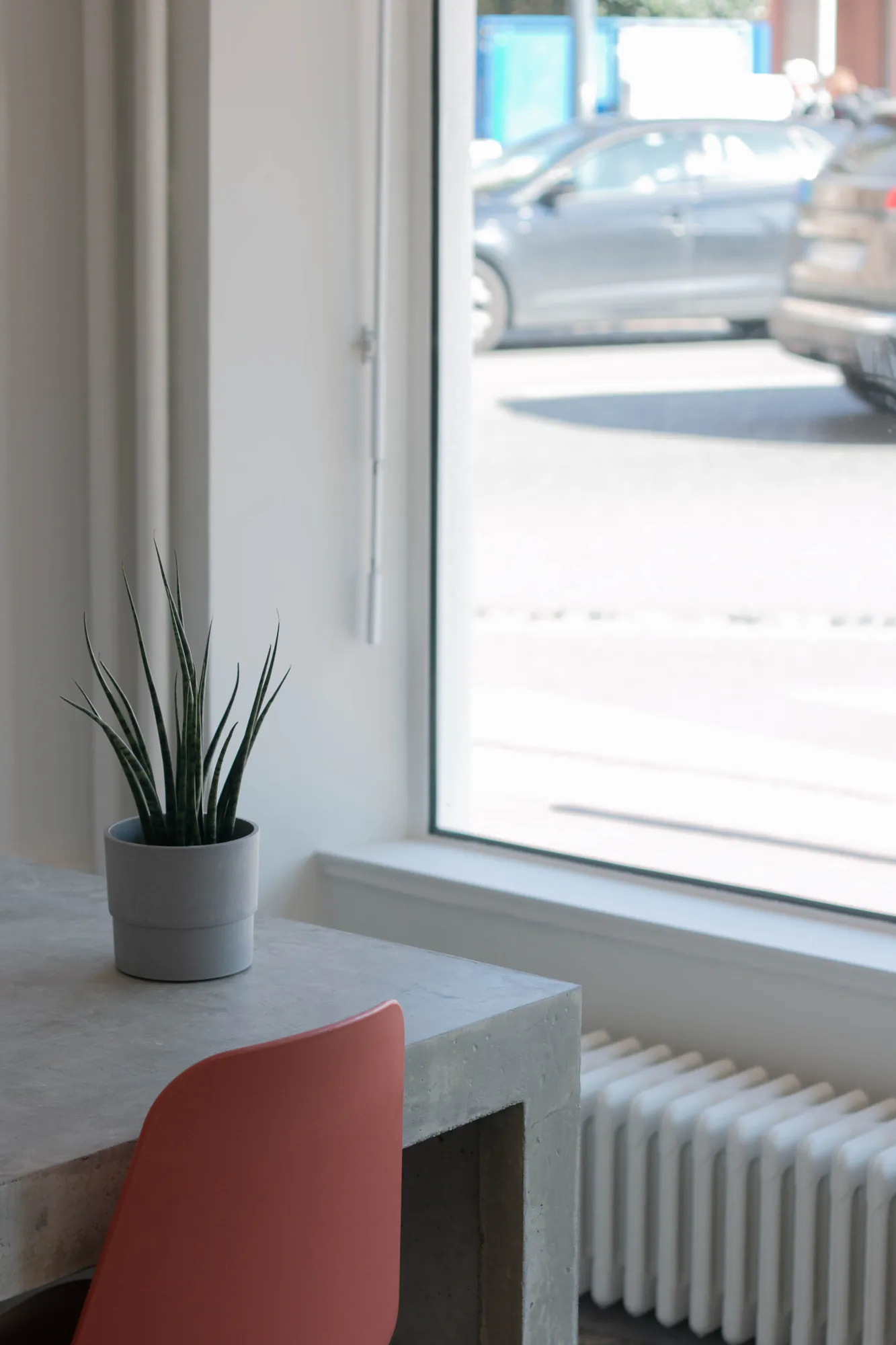 Larousse — Bureau en béton devant la vitrine, plante et chaise rouge